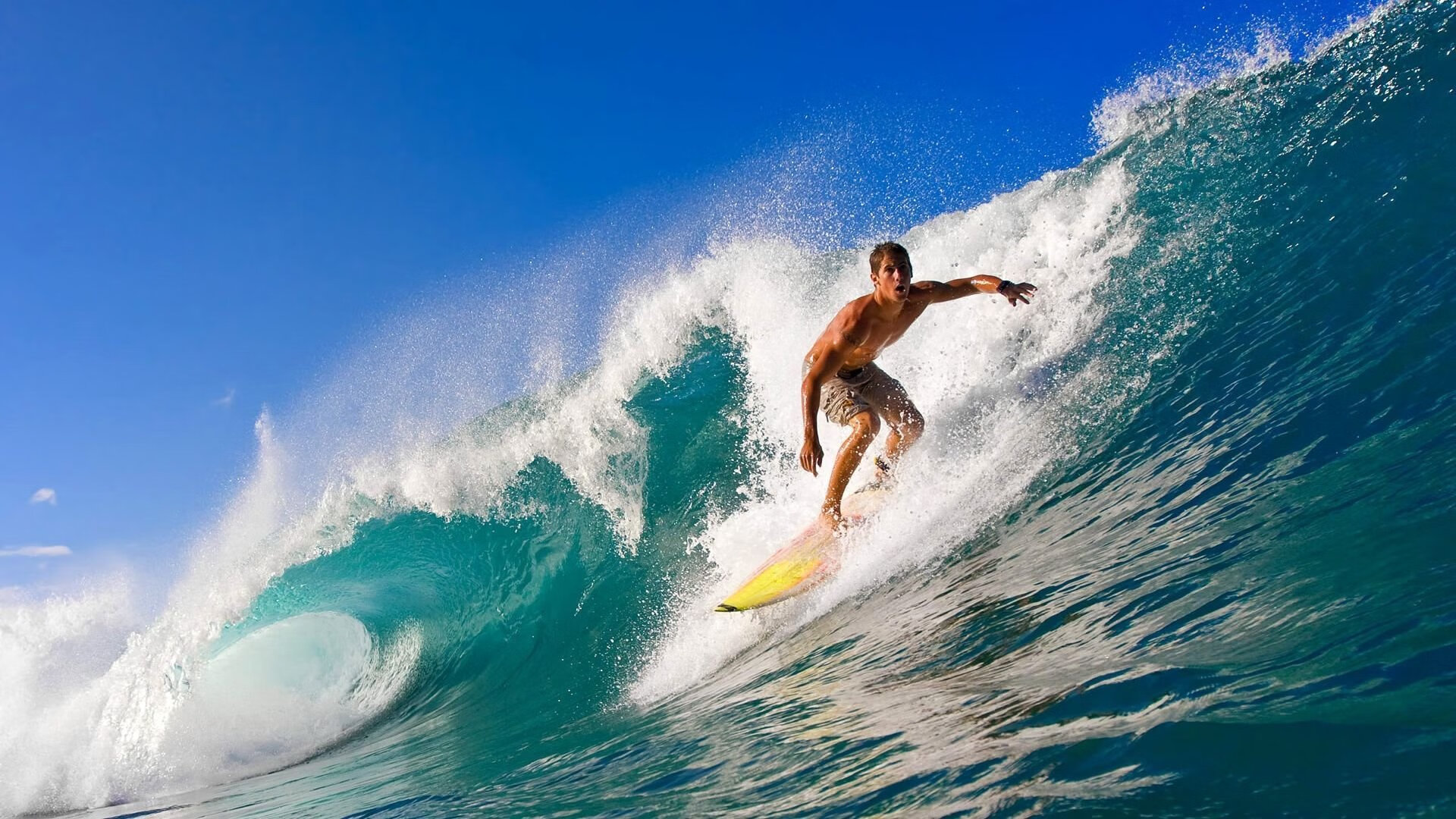 体育新闻中心构建体育赛事数据分析与应用平台，体育赛事新闻报道